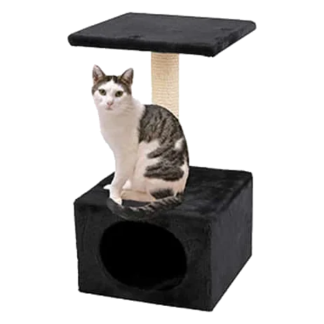 Griffoir poteau noir pour chat