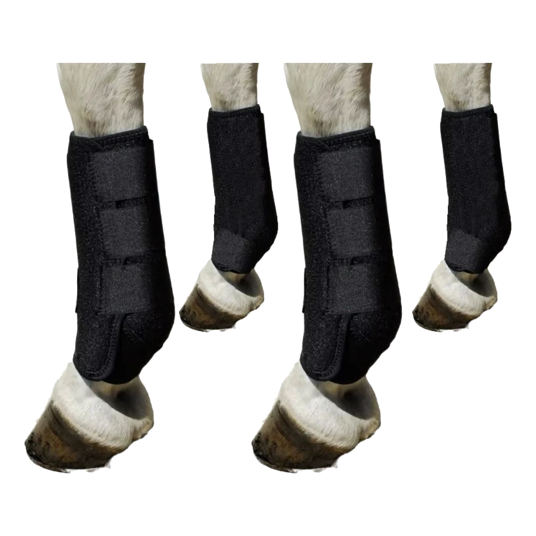 Lot de 4 guêtres de protection des tendons noires pour cheval