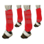 Lot de 4 guêtres de protection des tendons rouges pour cheval