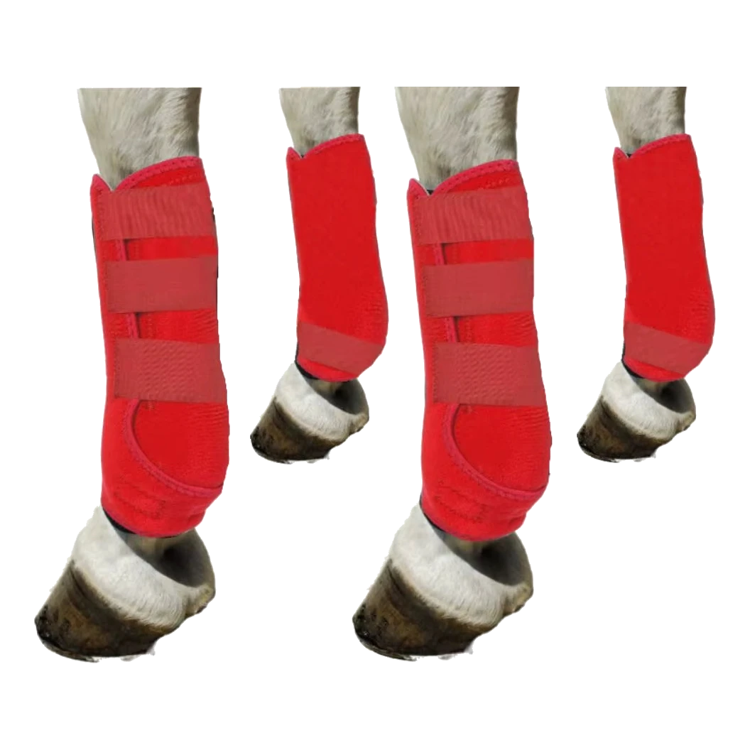 Lot de 4 guêtres de protection des tendons rouges pour cheval