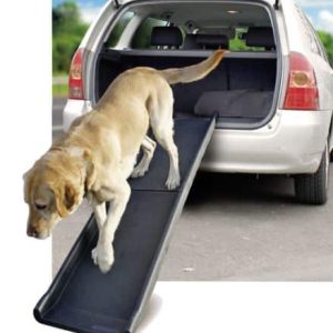 Rampe pour chien Gentle Step