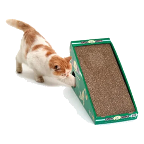 Griffoir en carton avec herbe à chat