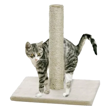 Griffoir Lisa pour chat, beige
