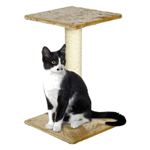 Griffoir Willma pour chat, beige
