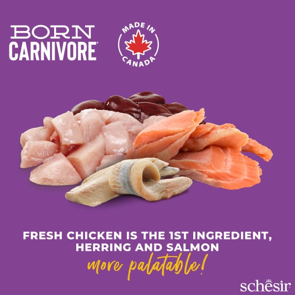 Croquettes chat Schesir Born Carnivore poulet avec hareng et saumon, 1,25 kg – image 2