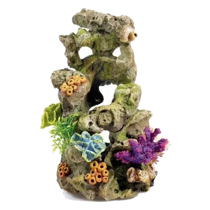 Rochers et plantes décoration aquarium