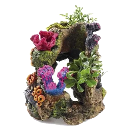 Rochers et plantes décoration aquarium