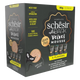 Schesir After Dark pack varié Velvet mousse pour chat