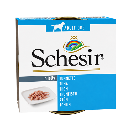 Schesir thon en gelée pour chien adulte, boîte 150 g