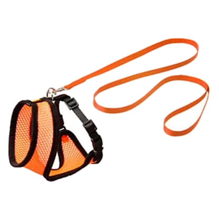 Kit harnais et laisse chaton, orange et noir, 110 cm, 10 mm, taille S
