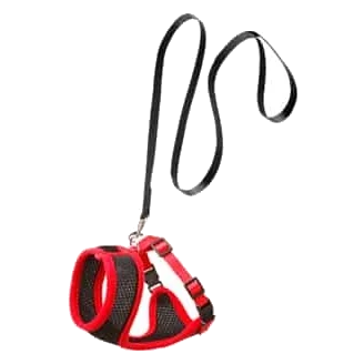 Kit harnais et laisse chat, noir et rouge, 110 cm, 10 mm, taille M
