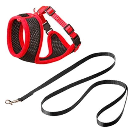 Kit harnais et laisse chat, noir et rouge, 120 cm, 15 mm, taille L