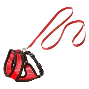 Kit harnais et laisse chat, rouge et noir, 110 cm, 10 mm, taille M