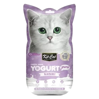 Friandises pour chat Kit Cat Yogurt Yums myrtille 10 g