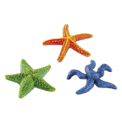Assortiment d’étoiles de mer pour aquarium