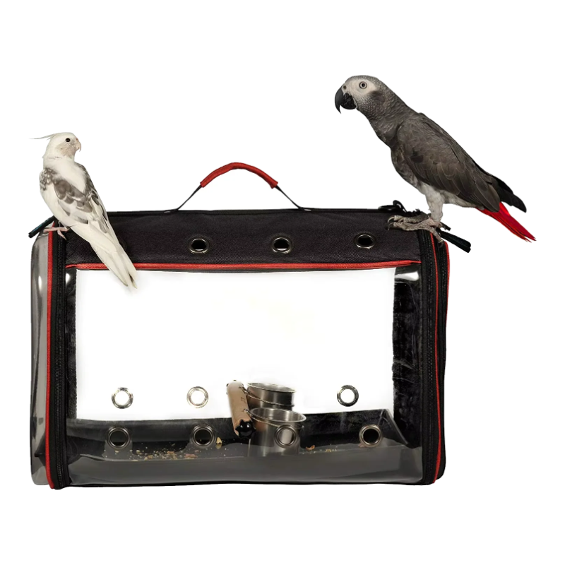 Cage de transport pliable pour oiseaux et perroquets avec fenêtre transparente et deux perroquets