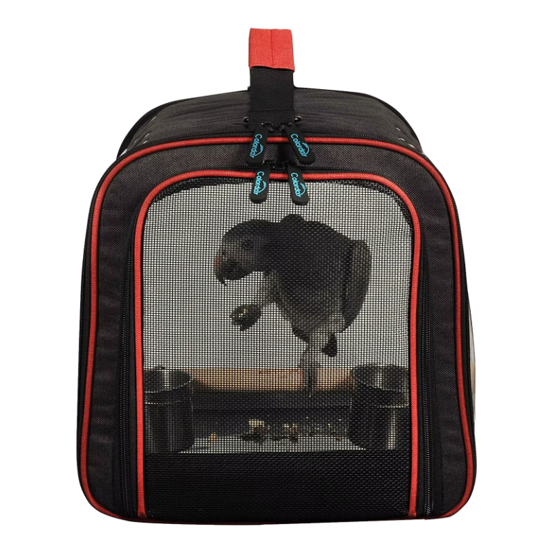 Cage de transport pour perroquets avec filet respirant, vue latérale