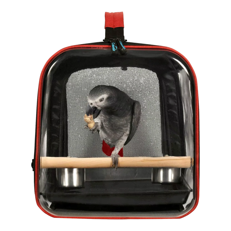 Cage de transport pour perroquets avec perchoir en bois et mangeoires, vue de face
