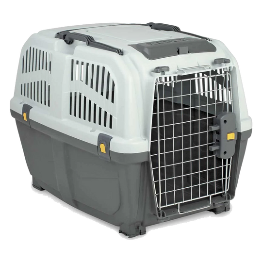 Caisse de transport chien Skudo IATA grise