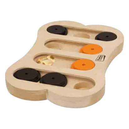 Jeu interactif chien Brain Train Apollo, 30 × 20 cm
