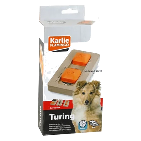 Jeu interactif chien Brain Train Turing, 22 × 12 cm