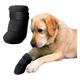 Chaussures en néoprène pour chien